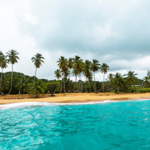 Exclusive Lots for Sale in Playa Colorada, Las Galeras, Samaná!